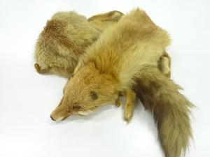 アンティーク　FOX衿巻き